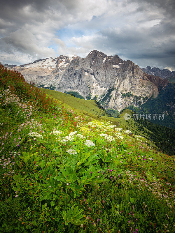 夏季的马尔莫拉达群(白云石，阿尔卑斯山)