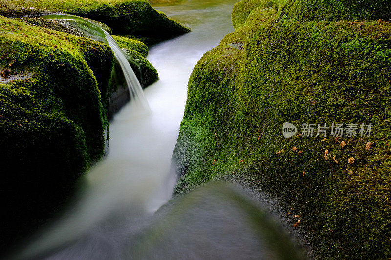 苔藓水