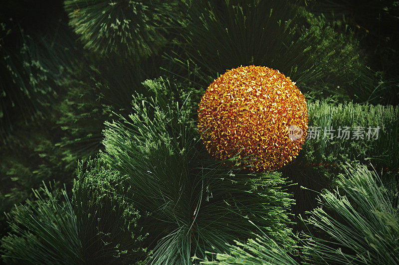 圣诞装饰-特写金球挂在树上