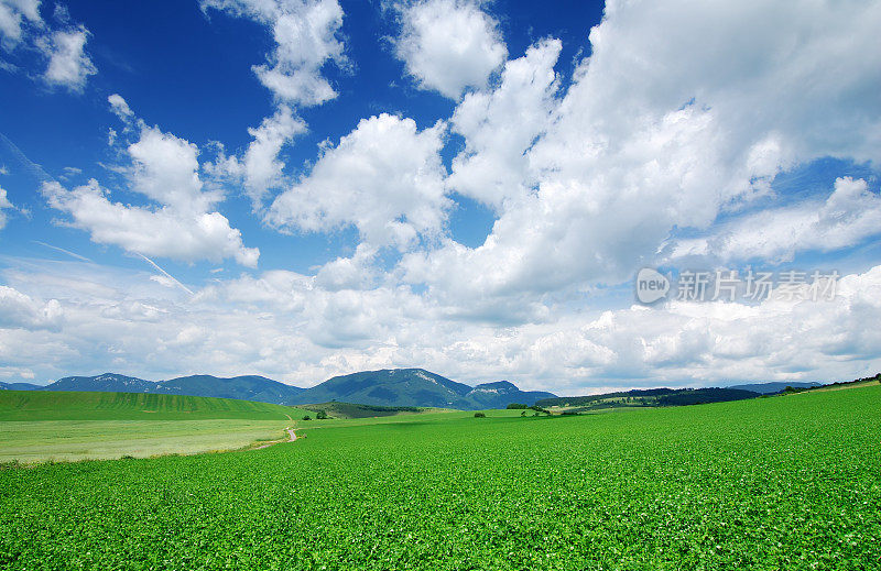 田园诗般的风景-绿色的田野和蓝色的天空