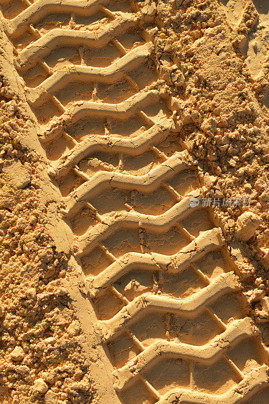 湿黄沙上的轮胎印。