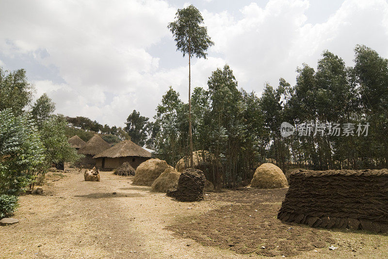 典型的埃塞俄比亚村