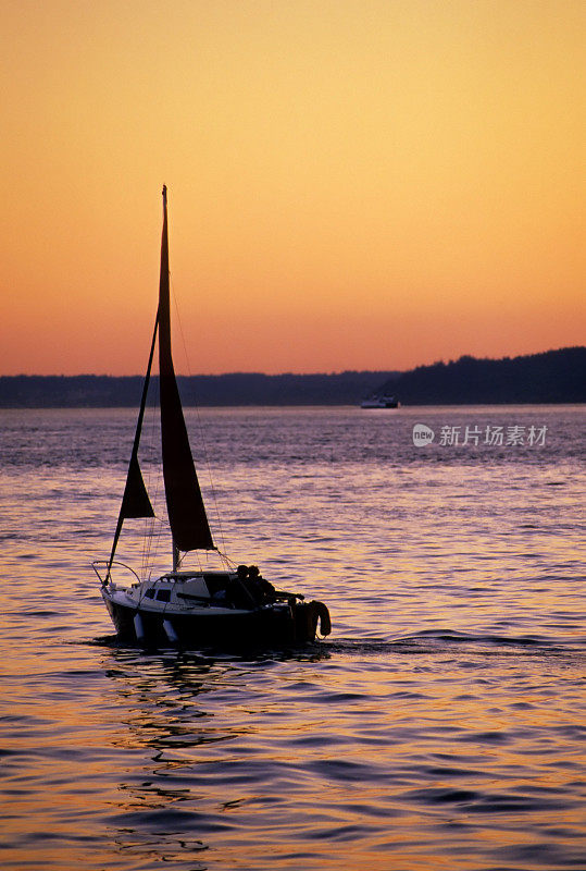 在夕阳中航行的帆船