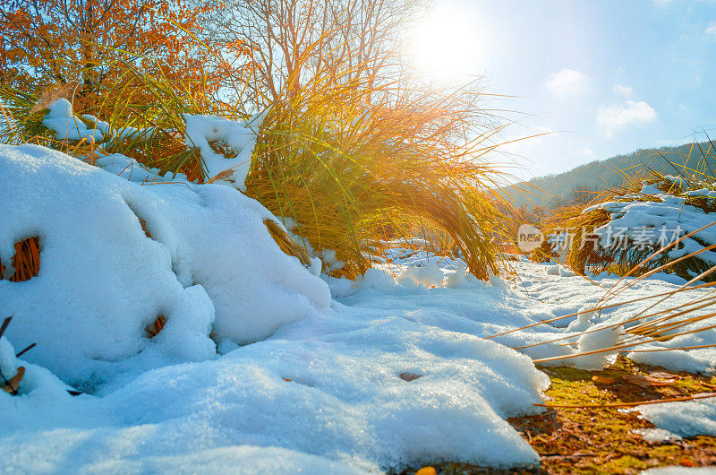 冬季来临——十月初雪