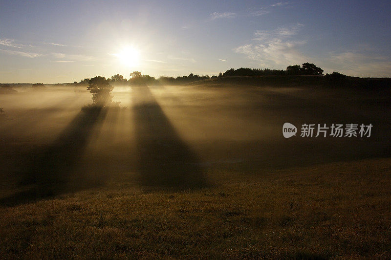 有雾的早晨的风景