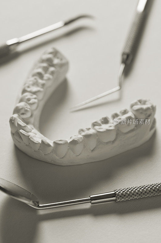 牙医的牙模被牙科器械包围着