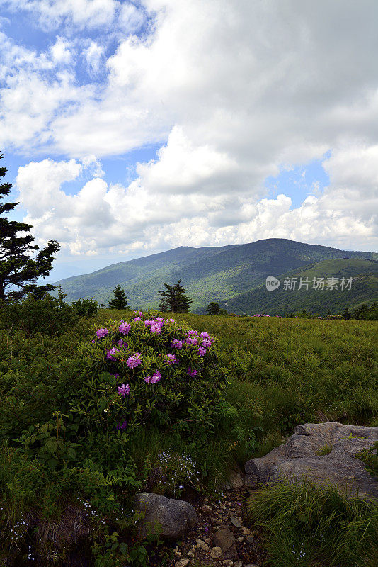 山顶的观点