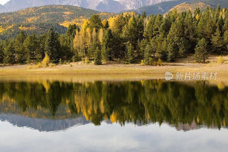 秋天的白杨在水晶溪水库派克峰