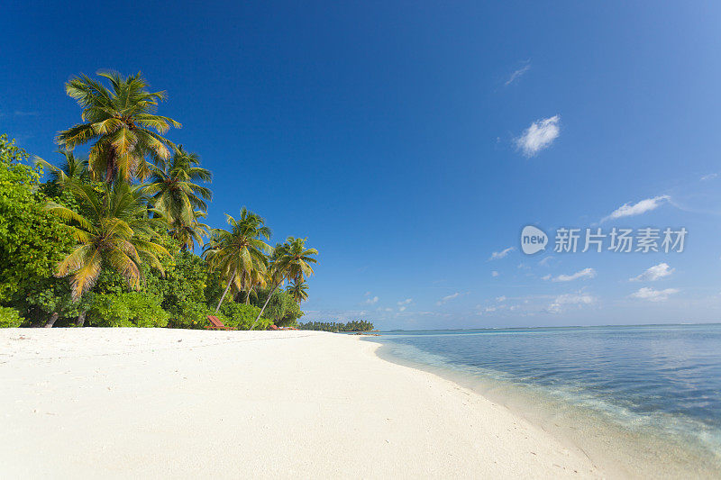 椰子树岛海滩