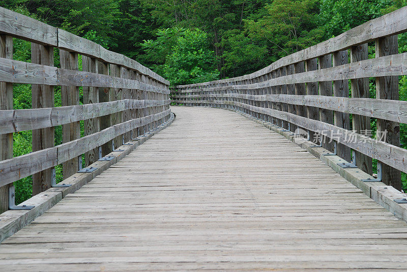 维吉尼亚攀缘小道上的森林里的木桥
