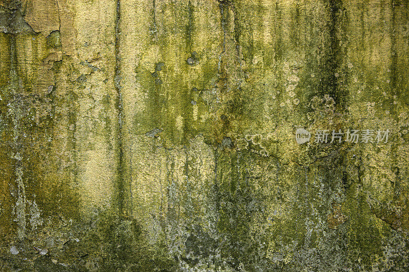 绿色枯燥乏味的墙
