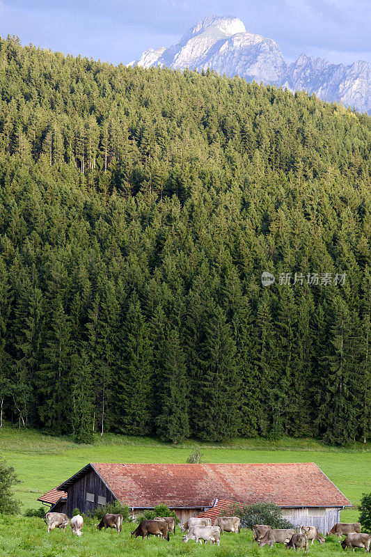 农场前面有一座山