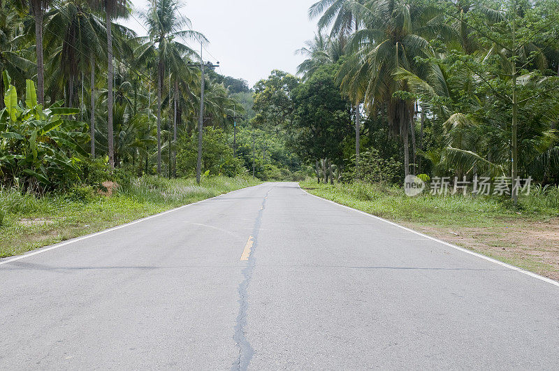 这条路