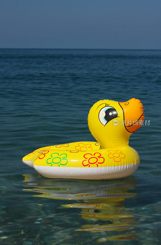水上的玩具鸭子