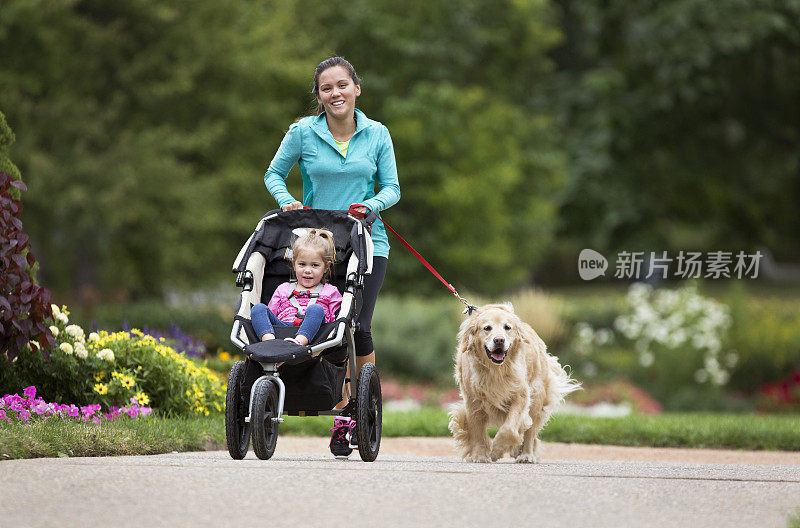 慢跑者与金毛猎犬和婴儿慢跑者在铺平的小径上。