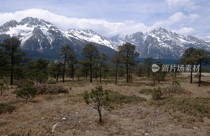 玉龙山