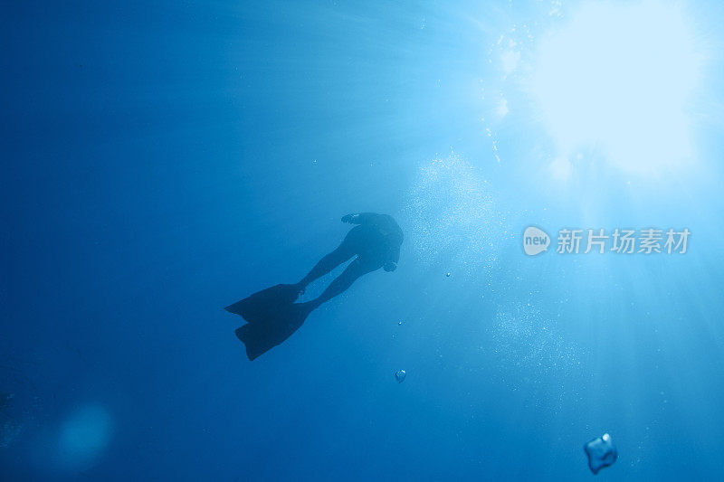 自由潜水呼吸暂停妇女浮潜水下潜水海上冒险