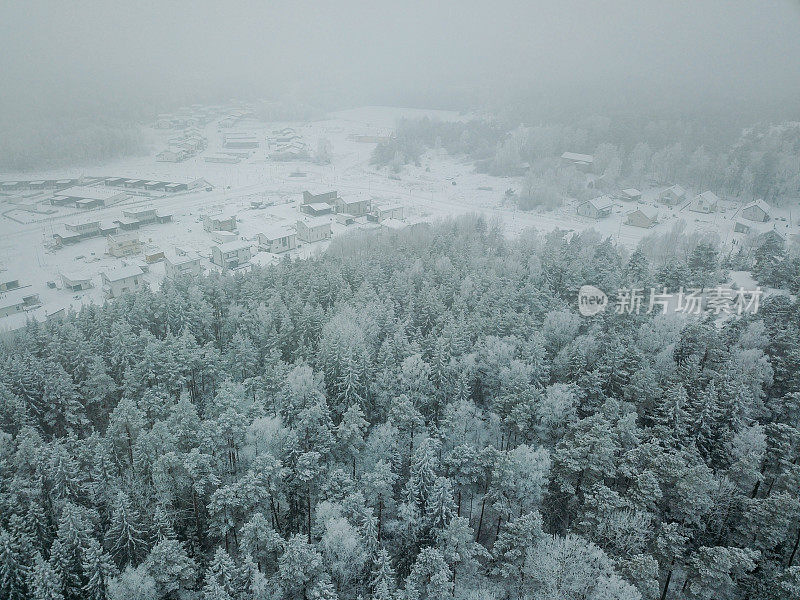 森林被雪覆盖的鸟瞰图