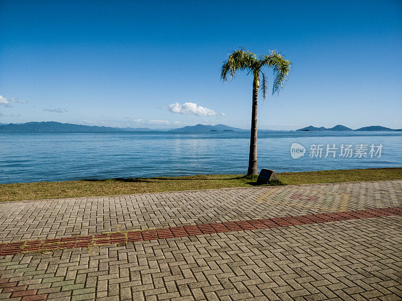 边境上有椰子树和FLorianópolis的木板路，可以看到大海