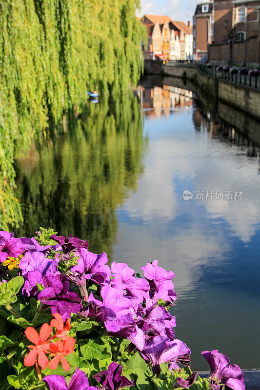比利时根特河畔，鲜花盛开