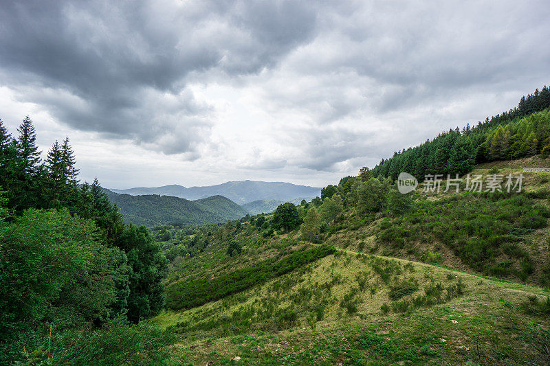 法国-绿色的山区景观路线附近的风景