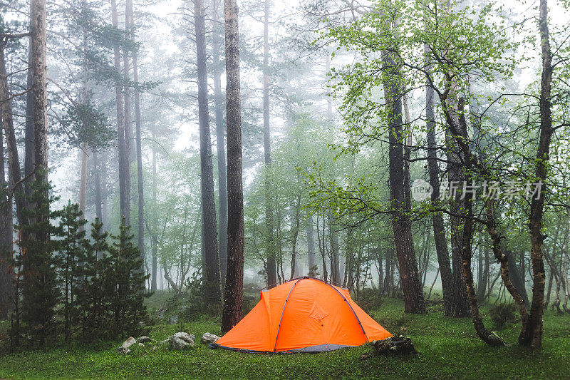雾林中的橙色轻型帐篷。天气寒冷潮湿，有雾，徒步，过夜停留