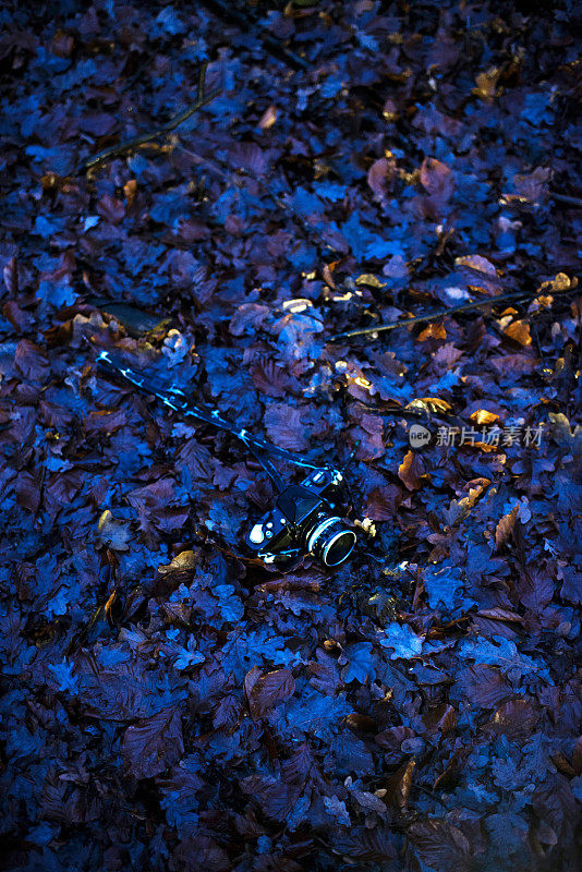 丢失的老式单反相机躺在满是枯叶的森林地面上。前视图。