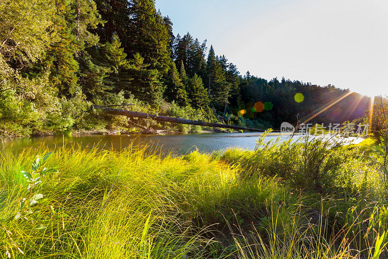 彩色透镜光晕，最后的阳光在南叉鳗鱼河，洪堡红杉州立公园，加利福尼亚州