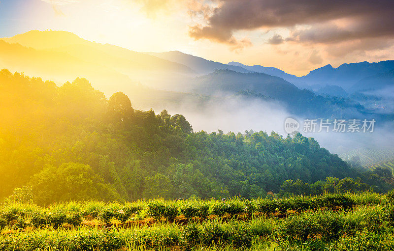 泰国北部的山景，日出和薄雾