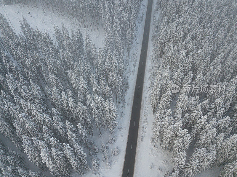 道路穿过冬天积雪覆盖的森林