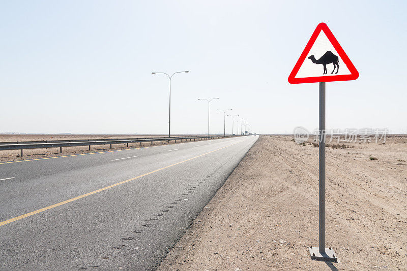 卡塔尔沙漠公路过骆驼警告标志