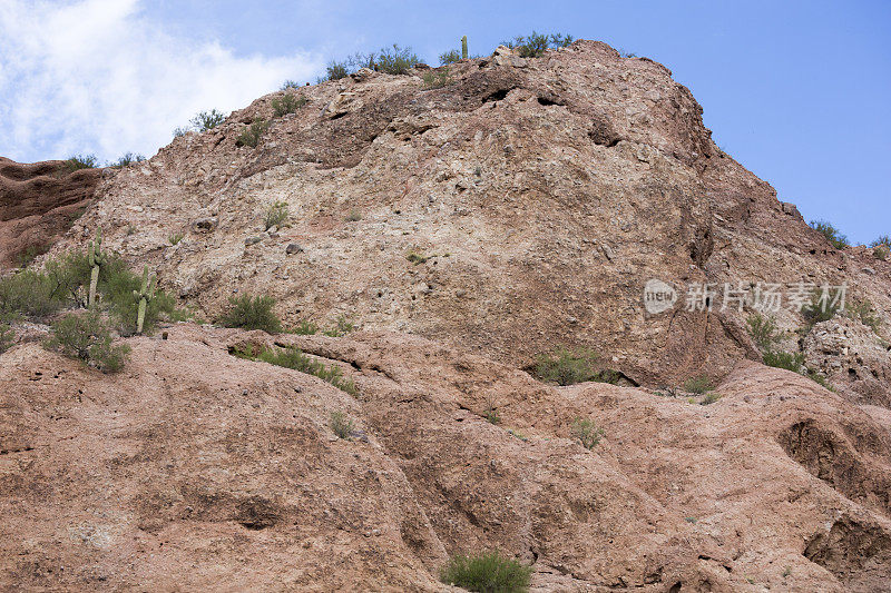 凤凰城亚利桑那南山公园和保护区