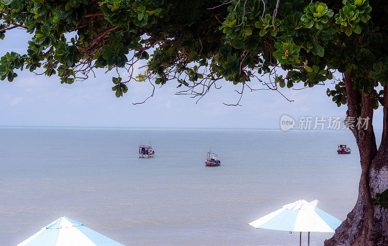 恬静的康德海滩在Paraíba州