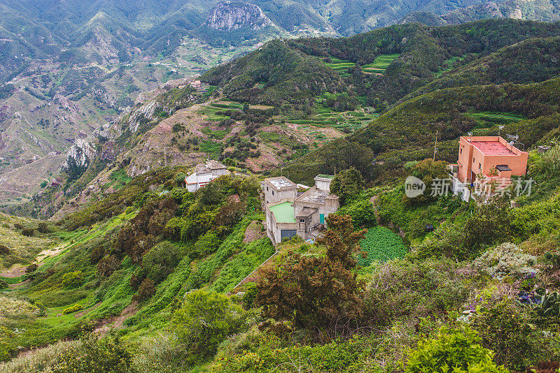 住在特内里费的山区