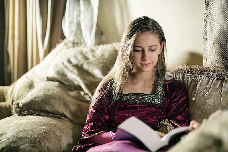 公主在她的房间里读书