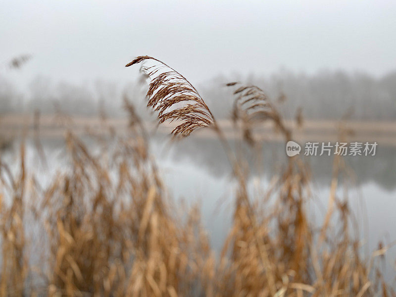 雾湖