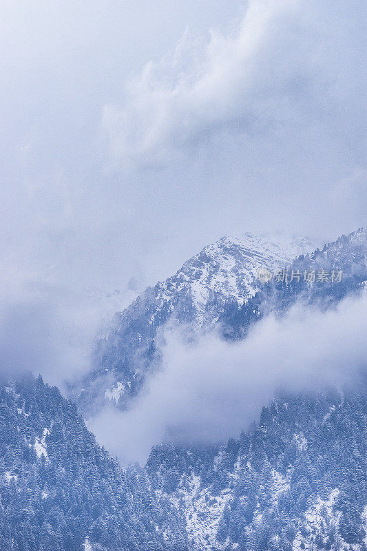 美丽的冬天的风景