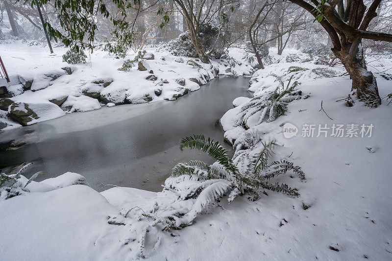 维多利亚BC灯塔山公园雪