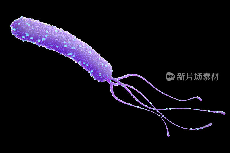 细菌，幽门螺杆菌，3d渲染。