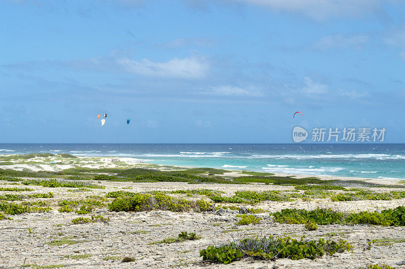 阿鲁巴海岸风筝会