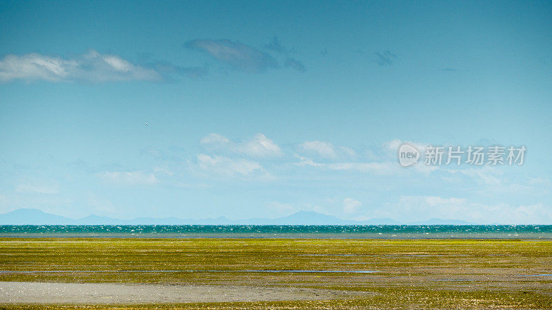 绿色和蓝色的海景(和大量的复制空间)