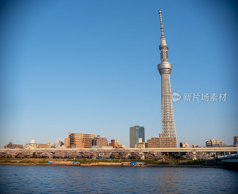 东京天空树，日本天际线在Sumida河拂晓