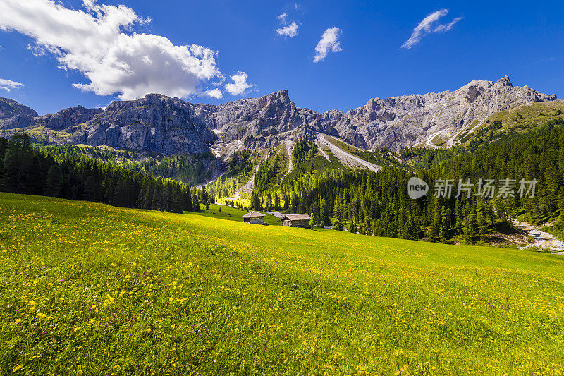 谷仓在田园诗般的阿尔卑斯风景-瓦尔迪富内斯，白云石阿尔卑斯-意大利