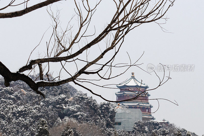 雪后的颐和园