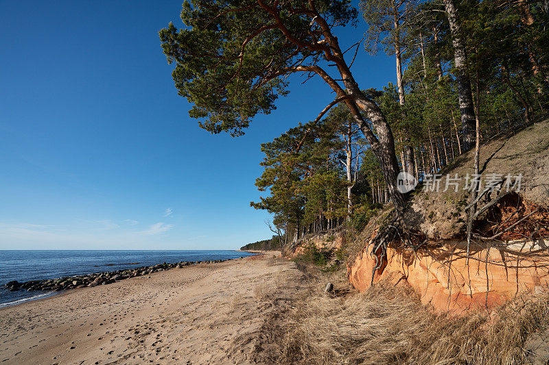 Vidzeme的海滨