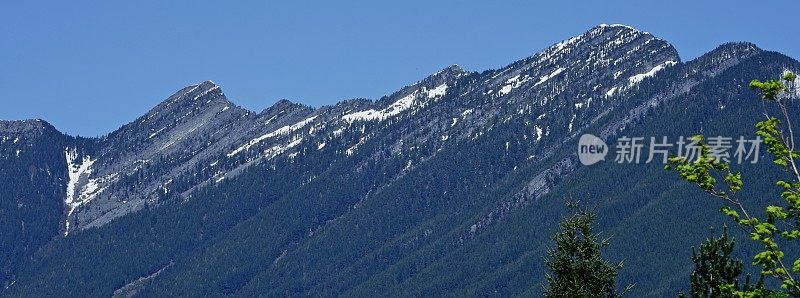 贝克-斯诺夸尔米山国家森林