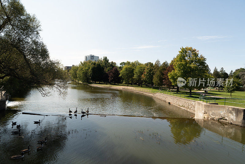 启用花园和河畔公园，圭尔夫，加拿大，安大略省