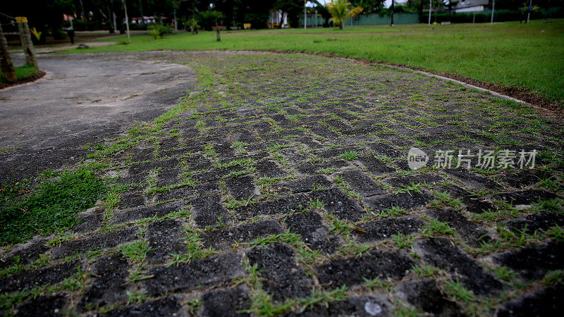 用混凝土砖砌成的路面