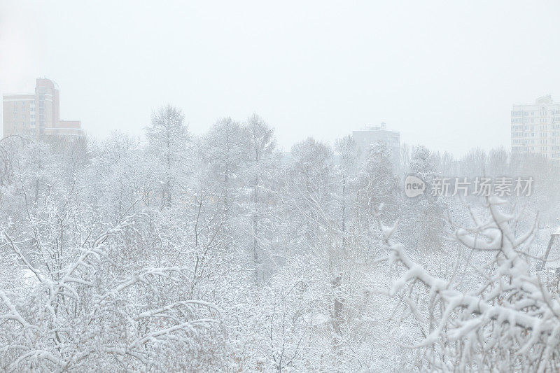 一夜的降雪之后