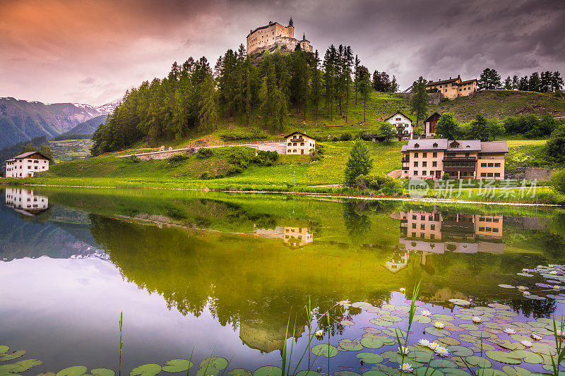 田园诗般的风景-野花和湖倒影在塔拉斯普村，恩加丁-瑞士
